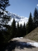 235_05_leutasch_2008.jpg